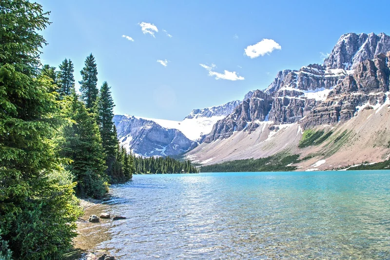 Déforestation et changement climatique : un cercle vicieux