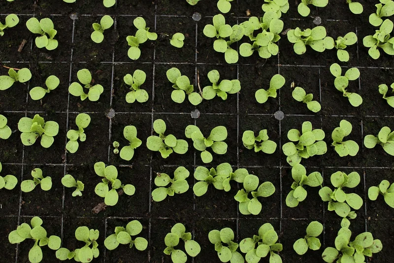 Sécurité alimentaire : le fossé qui s'élargit