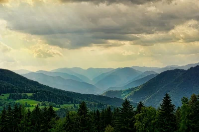 Comprendre le rôle des forêts dans la régulation du climat en 2026 : un enjeu crucial