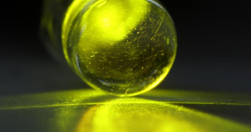 Comparatif des ampoules LED basse consommation : efficacité et durabilité